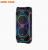 КОЛОНКА NDR-1808 КОЛОНКА NDR-1808